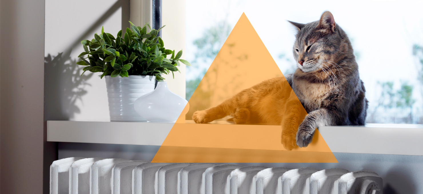 Originalwaerme_Katze_STW_Oranienburg